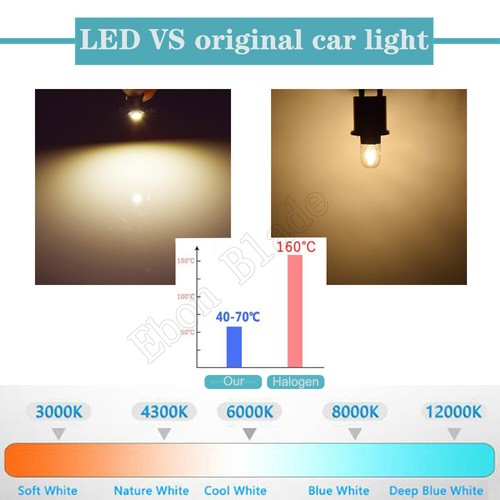1x Warm White E10 Led Lamp Flashlight Replacement Bulb Torches Light 3V 2 D Cell - Picture 6 of 7