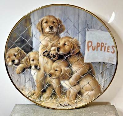 The Franklin Mint ' Adopt A Puppy '  Plate Fine Porcelain Limited Edition ASPCA
