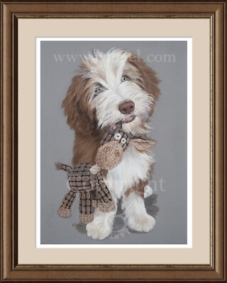 BEARDED COLLIE Fine Art Dog Beardie Print 'Rosslyn'  by Lynn Paterson