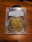 2003 American Silver Eagle Dollar 1 oz Fine Silver Coin 24k Gold Gilded Bullion