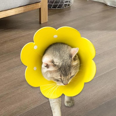 Katzenkegel kleine Hundekegel bequem wasserdicht Stop Lecken Katzenhals Kegel Katze