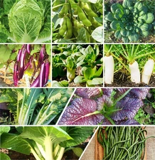 10 Asian Vegetable Seeds Mix Seeds - For 2025 Planting Non-GMO Heirloom Garden