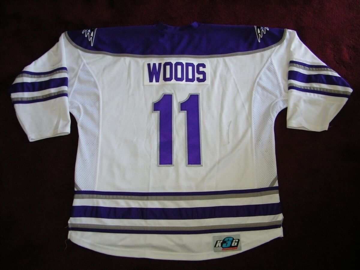 NIAGARA UNIVERSITY PURPLE EAGLES GAME USED HOCKEY JERSEY NIAGARA UNIVERSITY PURPLE EAGLES GAME USED HOCKEY JERSEY
