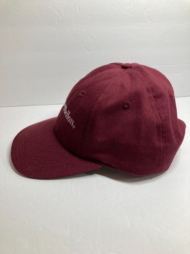 Cappello Carnegie Mellon University Berretto Rosso Marrone Snap Back Regolabile Made in USA - Foto 7 di 18