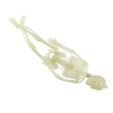 1PC Halloween Glow In Dark Skeleton Decoration 20cm High 3D Glowing
