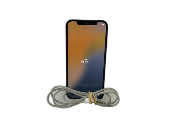 SMARTPHONE APPLE IPHONE 12 64GB LIVRE 20044438