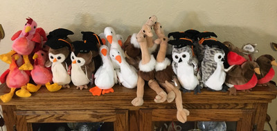 Lot of 30 Ty  Beanie Baby Birds #2