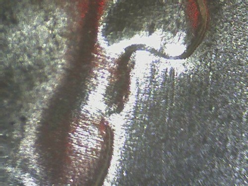 1959 FRANKLIN HALF DOLLAR DIE CLASH NOSE "BUGS BUNNY" ICG MS64 FBL 1801 - Picture 4 of 4