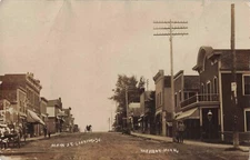 Main Street Harmony Minnesota MN Hardware Store c1910 Real Photo RPPC