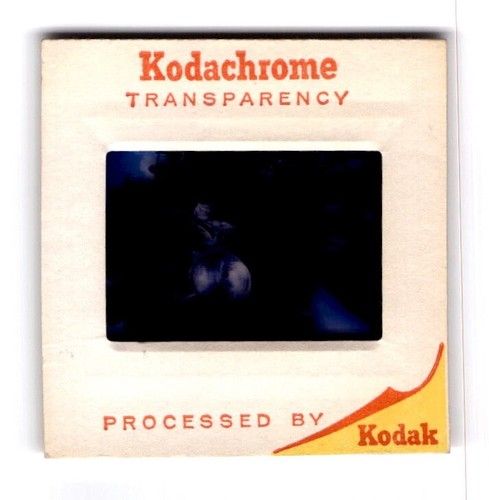 Honda Motorrad MAN 35mm Dia 60er Jahre Kodachrome - Bild 2 von 3