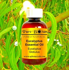 Best Eucalyptus Essential Oil 100% Purely Natural Therapeutic Grade - 4oz!
