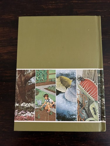 The Green Kingdom Volume 6 Childcraft How & Why Library 1976 Vintage Hardcover - Picture 2 of 7