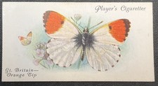 1932 Player's Cigarettes Butterflies #12 Gt. Britain - Orange Tip EX-EXMINT