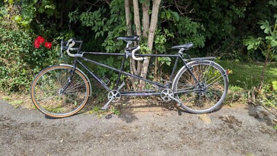 Dawes Galaxy Twin Tandem Two person touring bike for couples