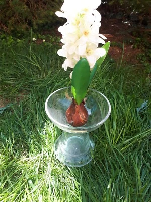 Formano Vase mundgeblasen Glas - Bild 1 von 3