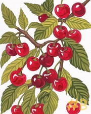 Mouth-Watering Red Cherries Printed Needlepoint Canvas FA210