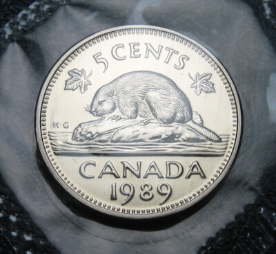 Canada 1989 5-cent Beaver NBU (Proof-Like) - Doubling Error | eBay