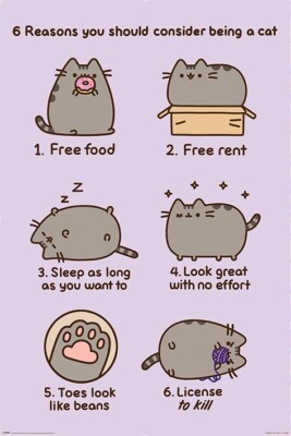 Poster Pusheen - Reasons to Be a Cat 61x91,5cm NEU 59505