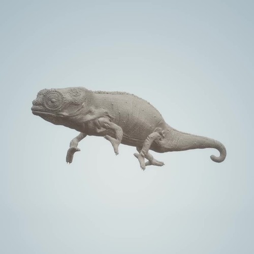 Nosy Hara Leaf Chameleon (Brookesia micra) | Animal Den Miniatures - Video 1 of 1