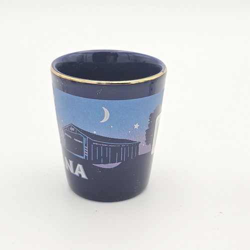 Lot of 2 - INDIANA STATE SHOT GLASS Shotglass The Hoosier State Racing Racecar - Picture 5 of 8