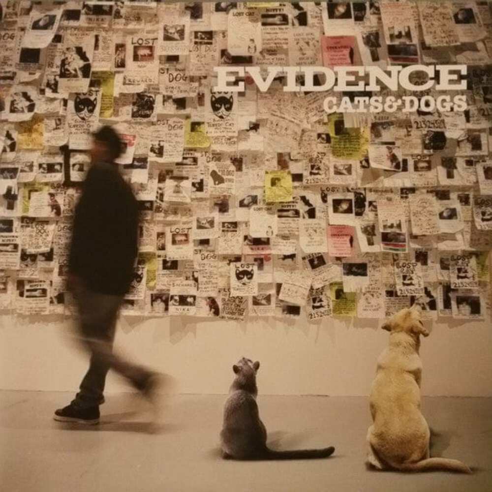 Evidence / Cats & Dogs 2LP レコード Evidence - Cats & Dogs (LP+LP) (Yellow+Pink) 826257014412| eBay