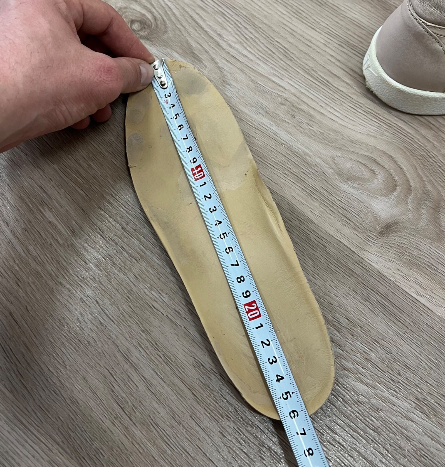 Giuseppe Zanotti Leather Python High Top Sneakers - image 21