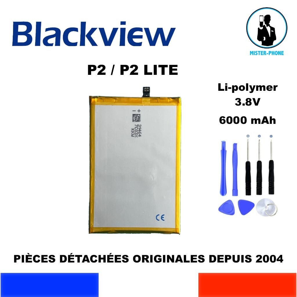 Batterie pour Blackview P2 d'origine 6000mAh composant de remplacement Dual SIM
