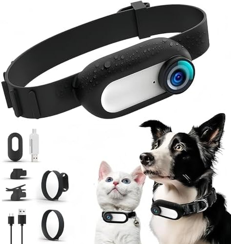 Fotocamera Collare per Gatti: La Vita Segreta del Tuo Amico Felino
