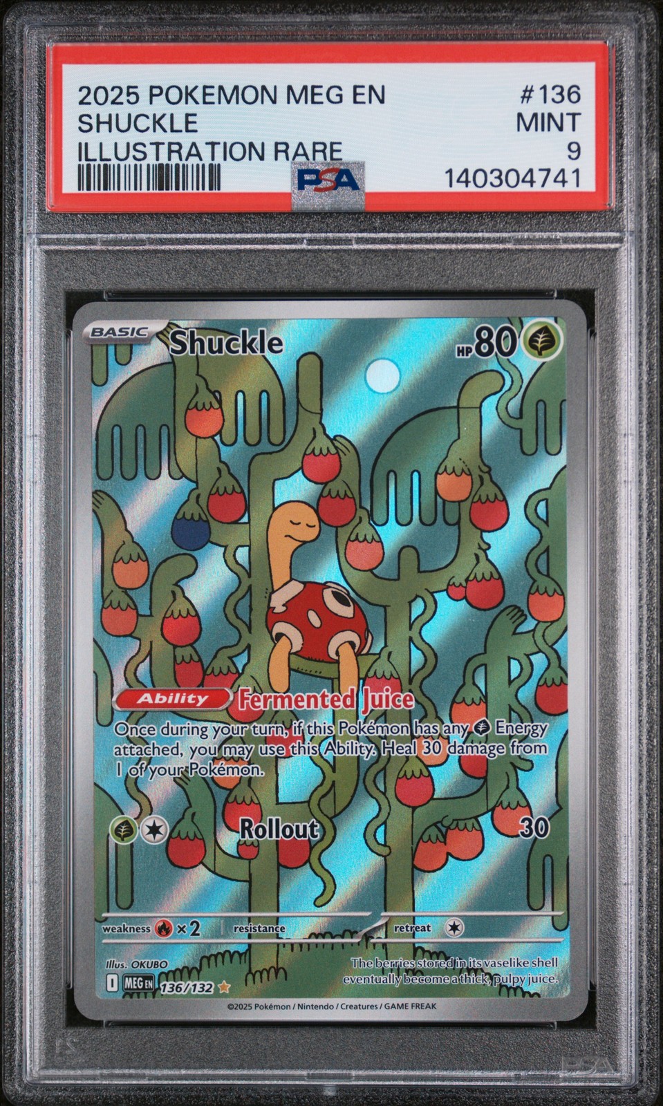 Shuckle #136