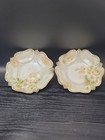 2 Porcelain Plates RS Prussia Vtg Floral Germany Reinhold Schlegelmilch Scallop — photo 1