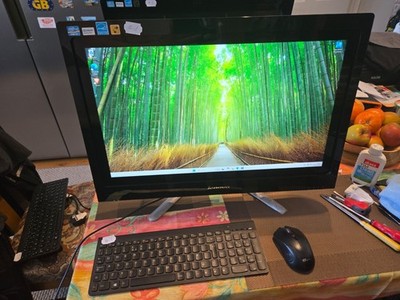Lenovo C540 AIO 23'' Touchscreen | 8GB DDR3 | 500GB SSD | Gereinigt & Aufgerüstet #1