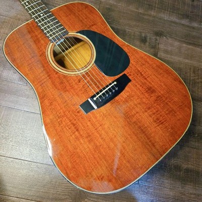 Takamine PT-006 electro-acoustic guitar