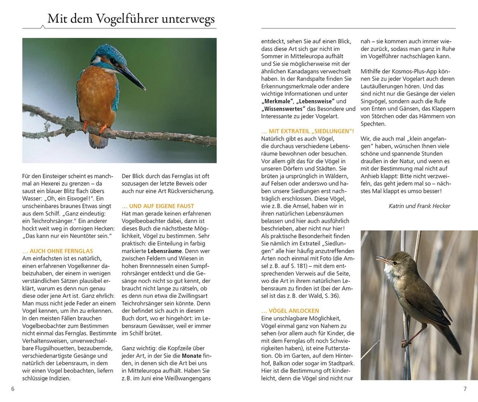 Kosmos Vogelführer für unterwegs ~ Frank Hecker ~  9783440181188 - Bild 2 von 4