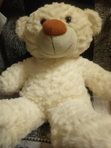 Teddy Mountain construye tu propia crema de oso de 16"" - Imagen 5 de 6