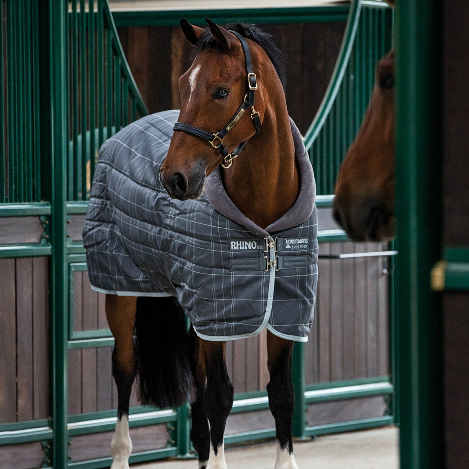 Rhino Original Con Vari capa pesado Unisex Caballo Alfombra estable-gris Carbón Rhino Original Con Vari capa pesado Unisex Caballo Alfombra estable-gris Carbón