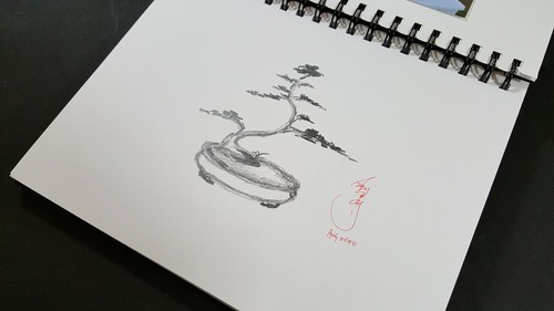 100% Original print sketch pencil drawing Bonsai tree Juniper by OK artist KONG2 - Picture 3 of 12