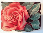 Stanley Rose Stanhome Vintage Antique Promo Sewing Needle Book Advertising Card — photo 3