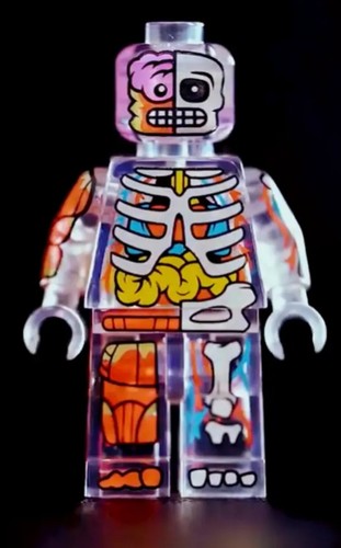 In Hand Citizen Brick - The Visible Man Minifigur - Selten Neu LEGO Skelett Spielzeug - Bild 1 von 6