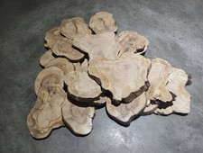 Live Edge Olive Wood Slices from Tree Branches for DIY and Epoxy Project 40-50pc