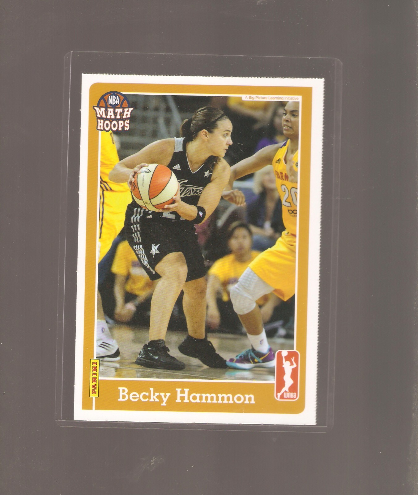 becky hammon 2013 WNBA MATH HOOPS,colorado st,las vegas aces coach,stevens  hs