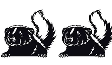 Baby Skunk 2 Vinyl Decal Car Truck Trailer Window Laptop Tablet Tumbler Notebook