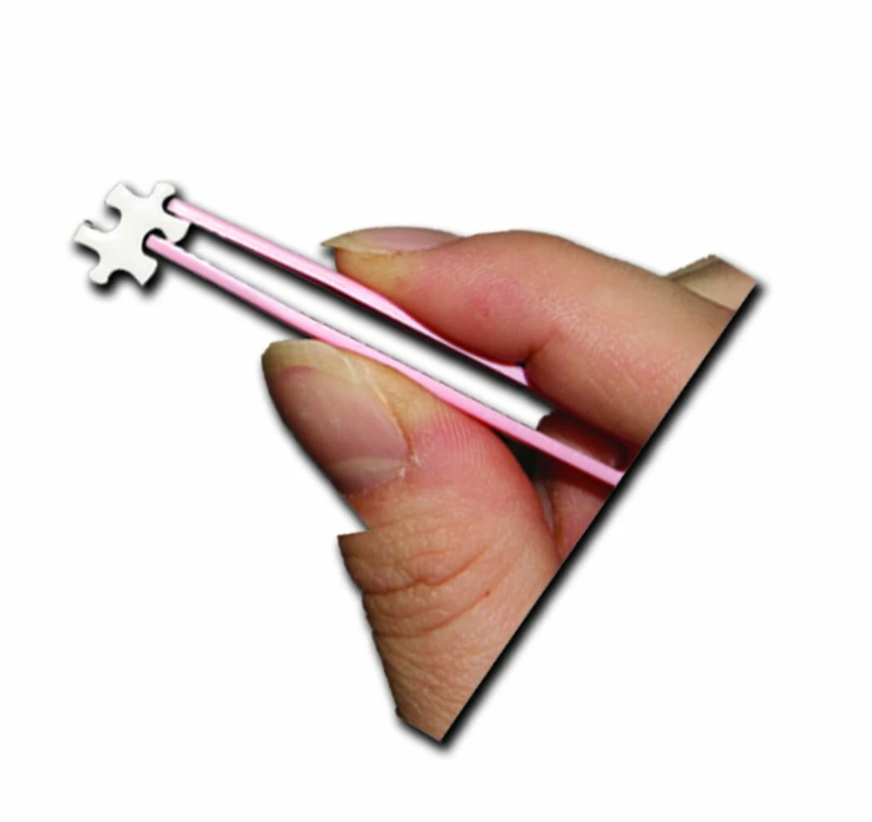 Rompecabezas más pequeño del mundo - mapache Foto 2 de 3