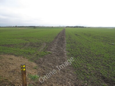 Foto 6x4 Fußweg zum Block Fen Doddington \/TL3990 A nackter Abschnitt mit cl c2010