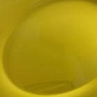 Picture 6 of 13