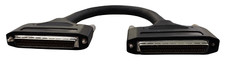 Madison Scsi 3 Male to Scsi 3 Male 1 Foot Screw MAD-3120-01