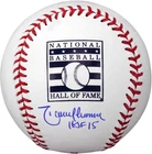 Randy Johnson Arizona Diamondbacks Signed HoF Logo Baseball & HOF 15 Insc