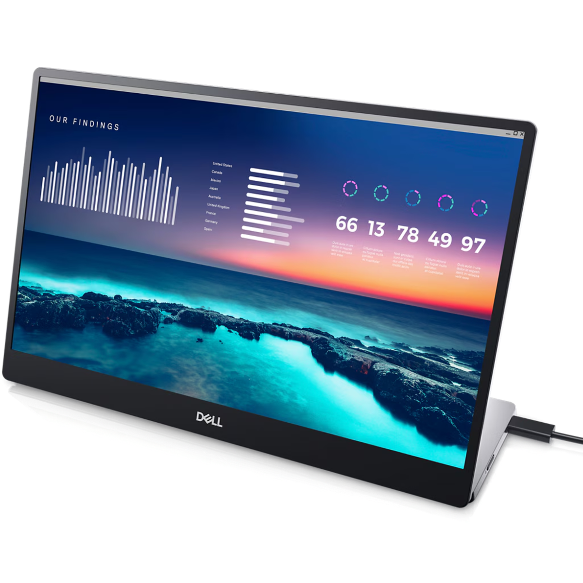 Dell P1424H 14'' 1080p FHD IPS LCD Portable Monitor for sale