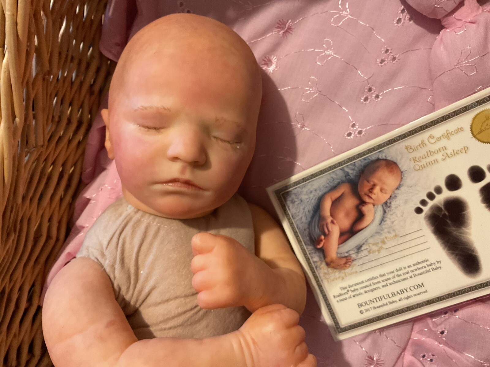 REBORN BABY DOLL 19”MADE WITH A BOUNTIFUL BABY QUIN KIT WITH COA AND