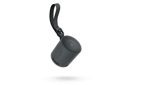 Sony SRS-XB100 Wireless Bluetooth Portable Lightweight Super