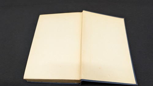 Iron Man by W.R. Burnett Lincoln Mac Weagh New York 1930, by Dial Press 1st Edit - Picture 23 of 24